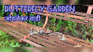 Butterfly Garden in Thane I Ovalekar Wadi I Thane I Must Visit Place [upl. by Eiramllij]