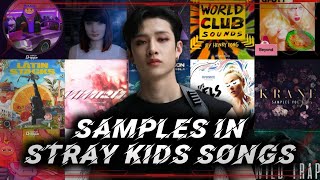 SamplesInterpolations in Stray Kids amp 3RACHA Songs [upl. by Penrose]