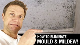 How to Paint over Mould amp Mildew [upl. by Aisul]