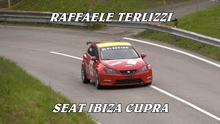 SALITA PEDAVENA  CROCE DAUNE 2024  RAFFAELE TERLIZZI  SEAT IBIZA CUPRA  BY BELLUNOVIDEO [upl. by Arni480]