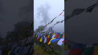 Goechala Trek  Sikkim  Kanachenjunga  Indiahikes [upl. by Leur351]