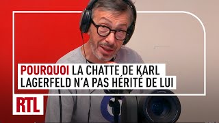 Karl Lagerfeld  pourquoi contrairement à une idée reçue sa chatte Choupette n’a pas hérité de lui [upl. by Auka]