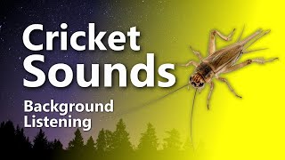 Relaxing Cricket Sounds for Sleep amp Tinnitus Relief Crickets [upl. by Yssirc10]