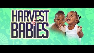 HARVEST OF BABIES WITH DR CHRIS OKAFOR  DAY 1  27TH MARCH 2024 [upl. by Citron740]