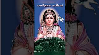 murugan songkanthavel muruganukkushortsvideo [upl. by Elocin]