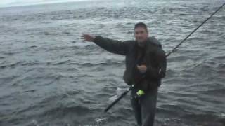 Rock fishing near Ballycastle North Ireland with Mal big Pollock Mackerel Coalfish Conger eel [upl. by Buyer966]