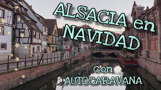 Viaje a la ALSACIA en AUTOCARAVANA en Navidad 17 [upl. by Nellac856]