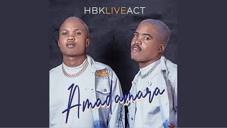 HBK Live Act amp Freddy Gwala  Amadamara Official Audio [upl. by Aura754]