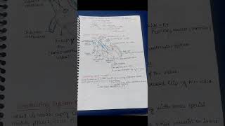 Class 11 Biology ➡️chapter  body fluids and circulation ✅️ handwritten notes 📝👍🏻 Ncert class11th [upl. by Nnylaehs]