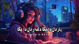 𝙎𝙡𝙤𝙬𝙚𝙙 amp 𝙧𝙚𝙫𝙚𝙧𝙗  Yaar dil da paka  dildar dil da paka  use headphones 🎧 enjoy music 🎵 [upl. by Ubana]