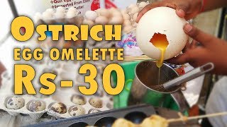 OSTRICH EGG in CHENNAI ஒஸ்ட்ரிச் முட்டை சாப்பிட்டுயிருக்கீங்களா  CITYBEE streetfood [upl. by Annaoj]