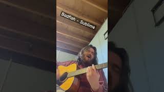 Badfish acoustic cover singer acousticcover music sublime rock [upl. by Mazonson]