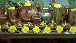 Trinadha swamy ki pujalu special flowers vlogs trending videos 🌺🌺🙏🙏 use devotional vlogs [upl. by Airyk]