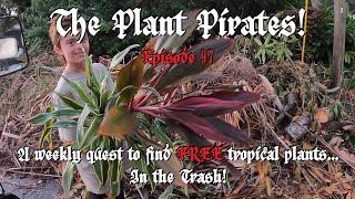 Finding FREE Tropical Plants in the Trash The Plant Pirates Episode 97 [upl. by Nalad]