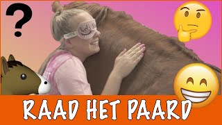 Geblinddoekt paarden raden  PaardenpraatTV [upl. by Ernestine260]