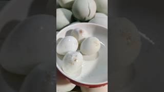 Boiled quail eggs  Bangladeshi street food  BD Food Express streetfood egg bdfood eggs [upl. by Yrreb974]