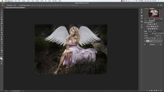 Chapter 10 How to Undo or Delete an Action In Photoshop CC 2017 [upl. by Ydnir]