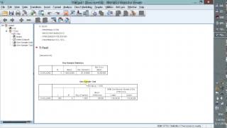 One Sample T Test  Thực hành phân tích One Sample T Test dùng SPSS  Nhóm MBA thực hiện [upl. by Attirehs604]