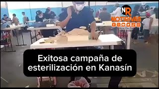 Exitosa campaña de esterilización en Kanasín 🐈🐕‍🦺 [upl. by Irrem625]