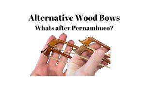 Alternative Wood Bows violin viola and cello  New Options from traditional sources [upl. by Hameean]