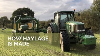 HOW HAYLAGE IS MADE HAYLAGE EXPLAINED [upl. by Llevel]