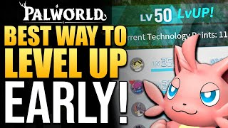 Palworld  How To Level Up Fast Early  Best New Player XP Farming Method [upl. by Steffin195]