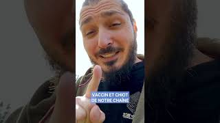 Vaccin  Fautil sortir son chiot [upl. by Olzsal]