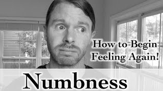 Numbness How to Begin Feeling Again  with JP Sears [upl. by Gonroff169]