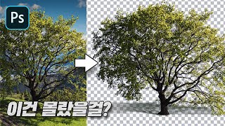 이미지 따는 이 방법을 알까 초간단 3가지 방법 예제 파일 제공 [upl. by Reltuc515]