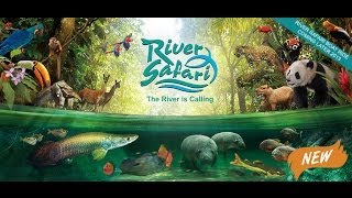 River Safari Singapore [upl. by Retloc]