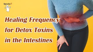 Healing Frequency for Detox Toxins In The Intestines  Spooky2 Rife Frequencies [upl. by Colvert]