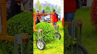 Shrub pruning process with electric trimmer [upl. by Umberto]