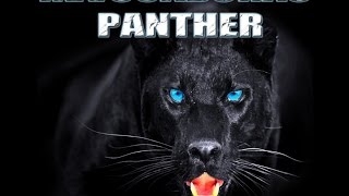 REVOCADORAS PANTHER [upl. by Leveroni]