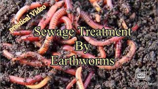 Sewage treatment by earthworms  site video [upl. by Els745]