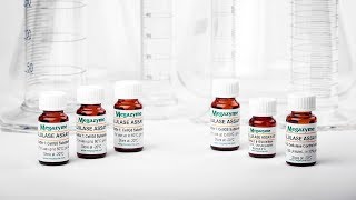 Cellulase Assay Protocol with KCellG5 [upl. by Anyaled]