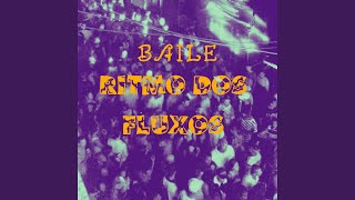 Baile Ritmo Dos Fluxos [upl. by Tnomed63]