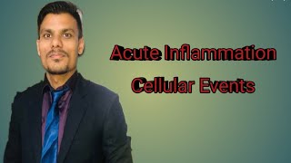 Pathogenesis of Acute Inflammation Cellular Events by DrShyam [upl. by Lleynod663]