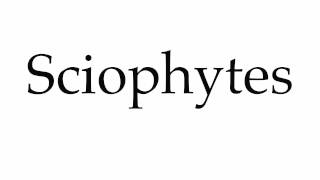 How to Pronounce Sciophytes [upl. by Ress]