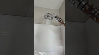 When people say quotits just a shower head” shorts shower showerhead upgrade [upl. by Shamus]