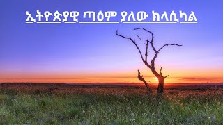 NonStop Amharic Classical Music  Best Ethiopian Instrumentals 🧡 [upl. by Notnerb922]