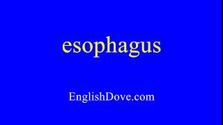 How to pronounce esophagus in American English [upl. by Folberth]