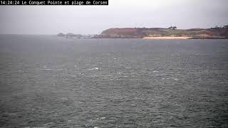 Webcam Le Conquet  Phare Kermorvan [upl. by Teage]