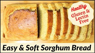 GlutenFree and LectinFree Sorghum Bread Jowar Bread Quick Healthy amp Delicious [upl. by Georgena]