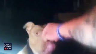 Alabama Police Officer Accidently Shoots Partner While Trying to Shoot Attacking Pit Bull [upl. by Aihseuqram]