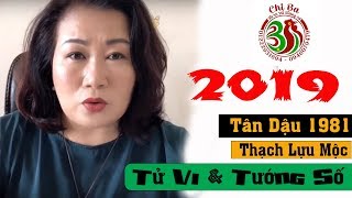 Tân Dậu 1981 Thạch Lựu Mộc năm 2019  Tử Vi Và Tướng Số [upl. by Scrivens]