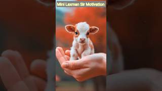 So Cute 🥰🦋 Laxman Sir Trick Wale shorts minilaxmansirmotivation laxmansir cow status [upl. by Aneehta]