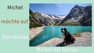 Wenn das Herrchen von michelderberner auf Dienstreise muss Berner Sennenhund Hunde Tricks [upl. by Aida]