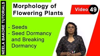 Morphology of Flowering Plants  NEET  Seeds  Seed Dormancy and Breaking Dormancy  Neela Bakore [upl. by Hauck]