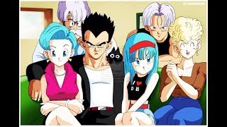 Dragon Ball  Vegetas Family [upl. by Bashemath495]