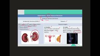 Hormones of Pituitary Gland [upl. by Ahsar]